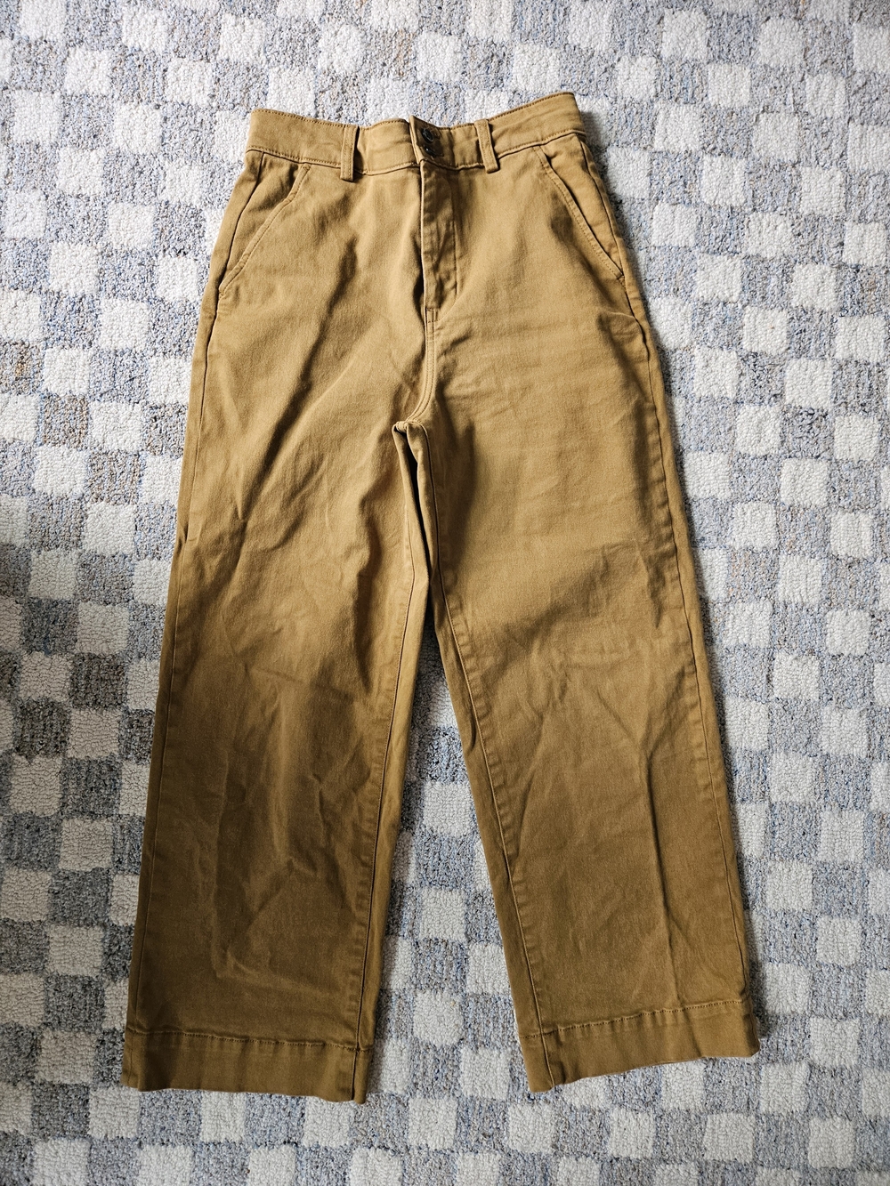 Everlane Wide-Leg Pants in Brown